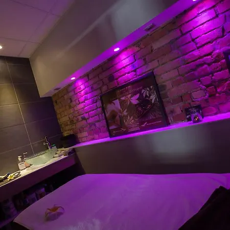 Et La K - Basel Airport Hotel Saint-Louis (Haut-Rhin)