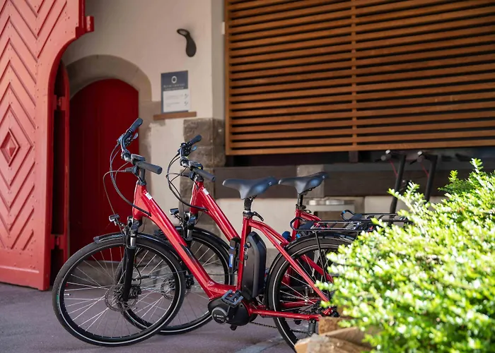 Et La K - Basel Airport Hotel Saint-Louis (Haut-Rhin)